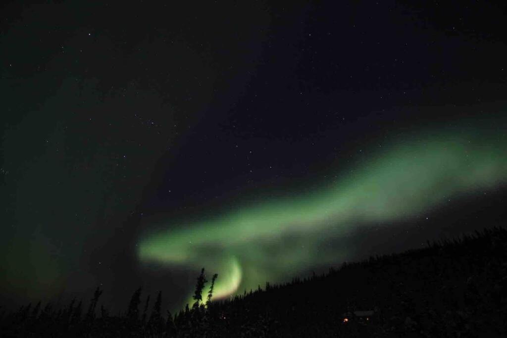 Newly Remodeled Relaxing Stay Near Downtown Fairbanks Extérieur photo